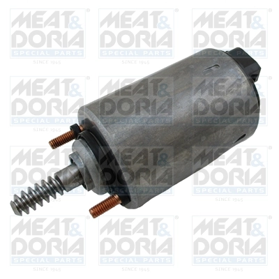 Actuator, exentric shaft (variable valve lift)